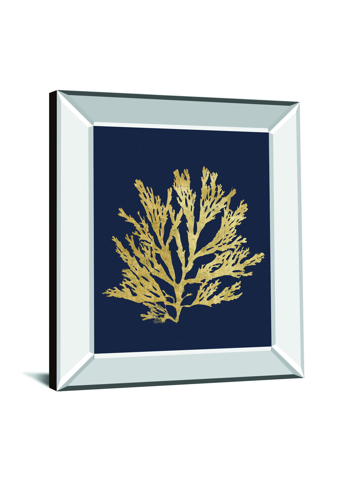 Pacific Sea Mosses I Indigo By Wild Apple Portfolio - Mirror Framed Print Wall Art - Black