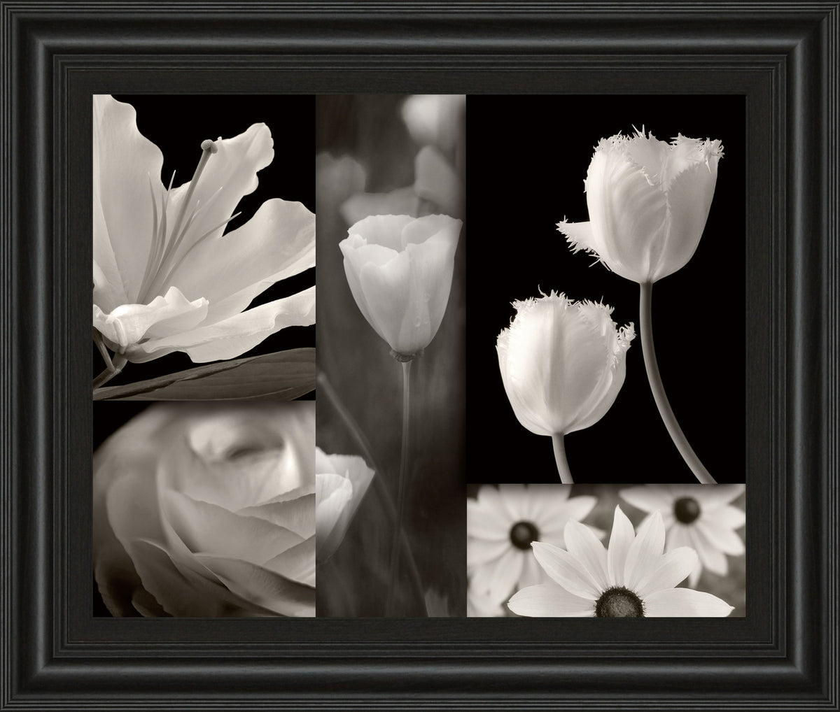 Summer Garden Il By Dennis Frates - Framed Print Wall Art - Dark Gray