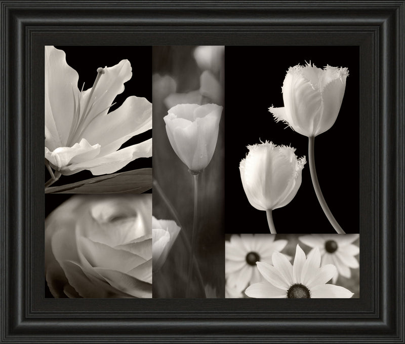 Summer Garden Il By Dennis Frates - Framed Print Wall Art - Dark Gray