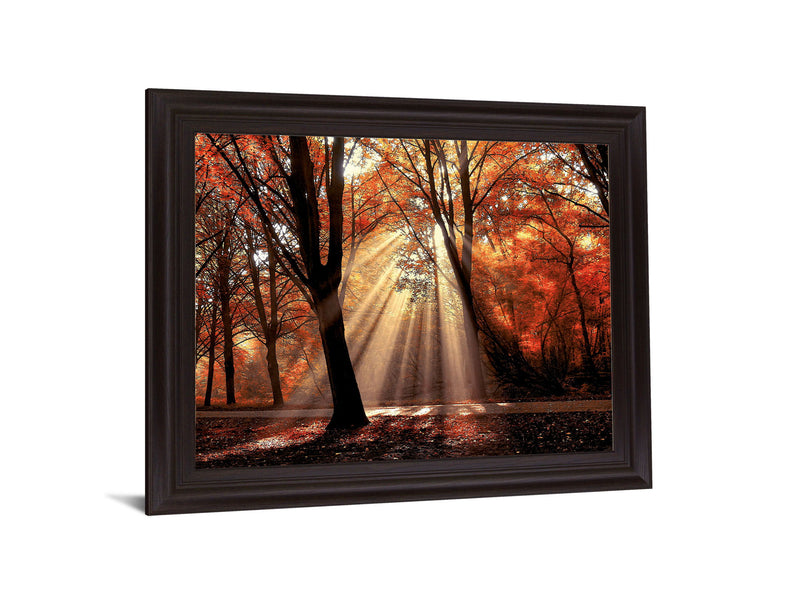 Radiant Maple Glow - 28" x 34" Framed Wall Art - Orange