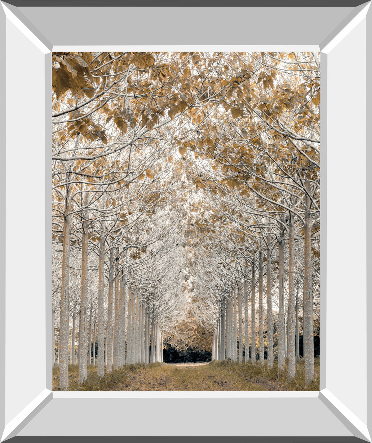 White Gold By Assaf Frank - Mirror Framed Print Wall Art - Silver