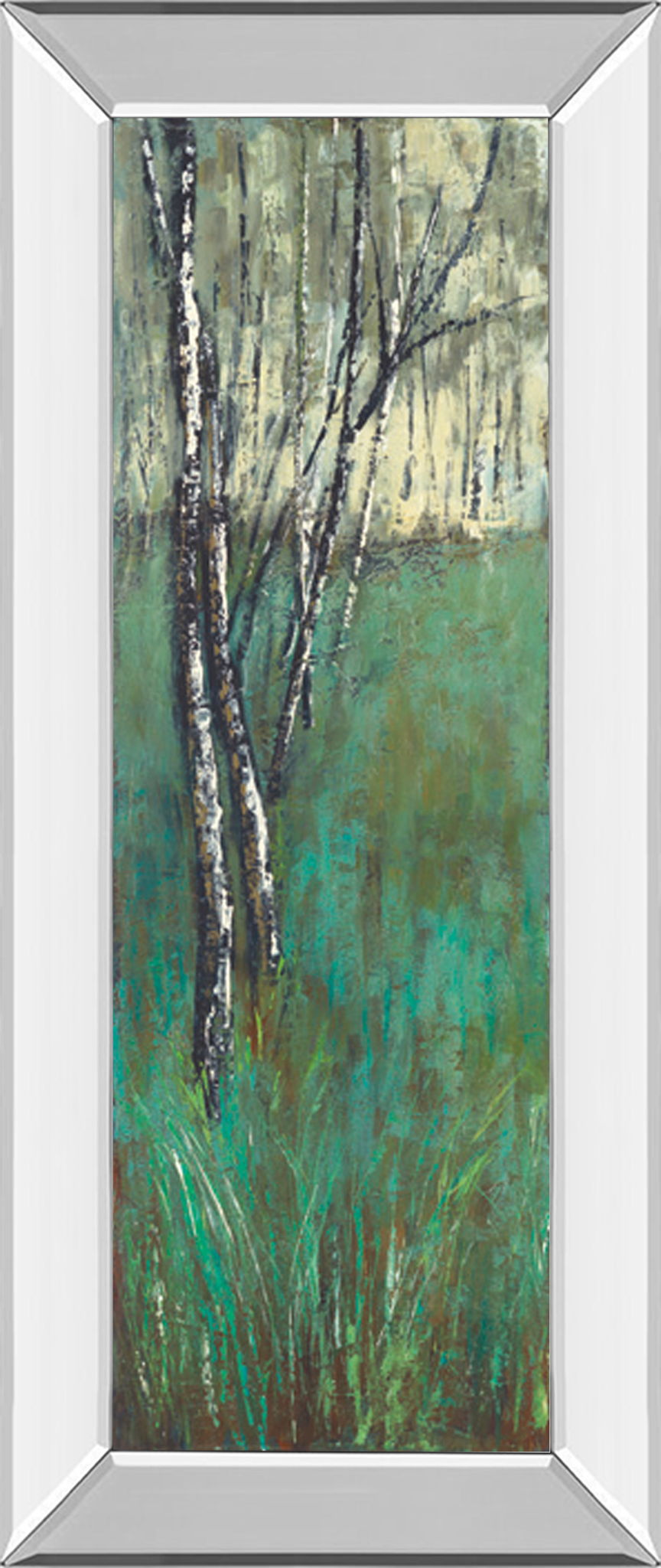 Nature Companion I By Solis - Mirror Framed Print Wall Art - Green