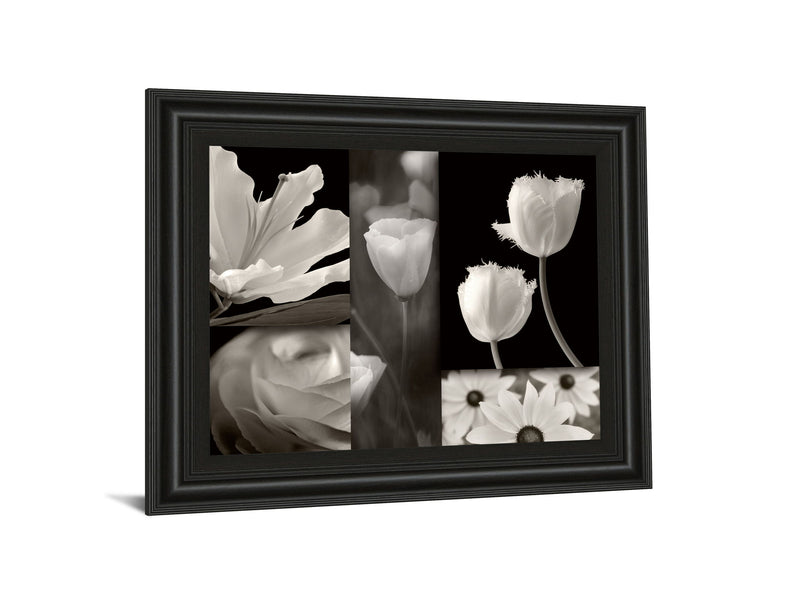 Summer Garden Il By Dennis Frates - Framed Print Wall Art - Dark Gray
