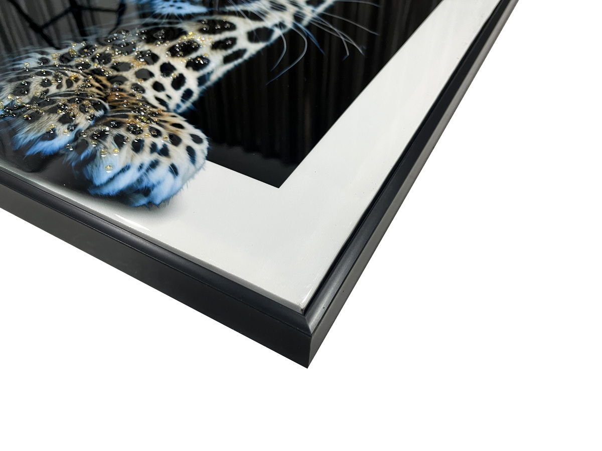 Midnight Stalker II Gloss Canvas With Rocks In Frame - Black / White