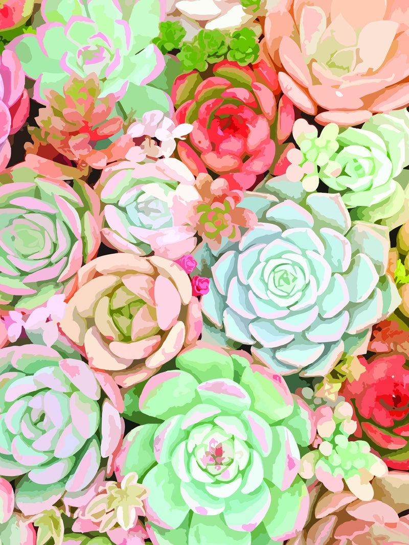 Framed - Succulent By Tamara Robinson - Pink