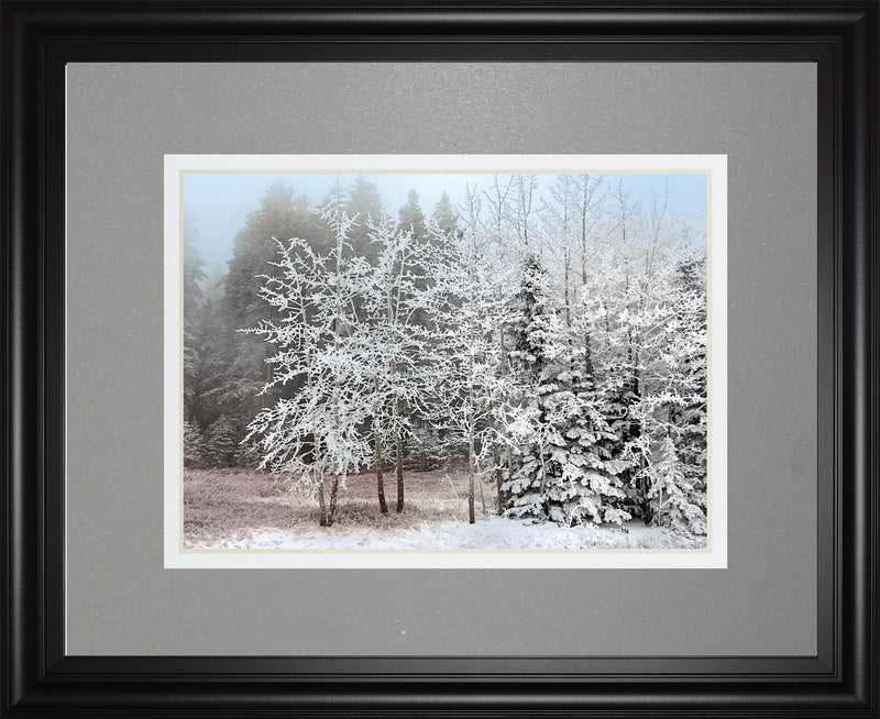 Frosty Morning By Mike Jone - Framed Print Wall Art - Gray