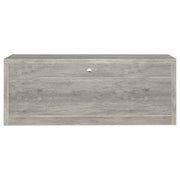 Burke 2-drawer Engineered Wood 59-inch TV Stand Grey Driftwood
