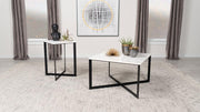 Tobin Marble Top Coffee and End Table Set 2-piece