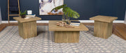 Devar Square Coffee and End Table Set Mango 3-piece
