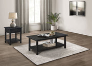Payne Coffee and 1-drawer End Table Set