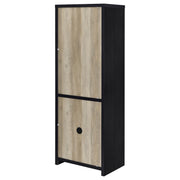 Denison 67-inch 2-door Media Tower Storage Cabinet Black