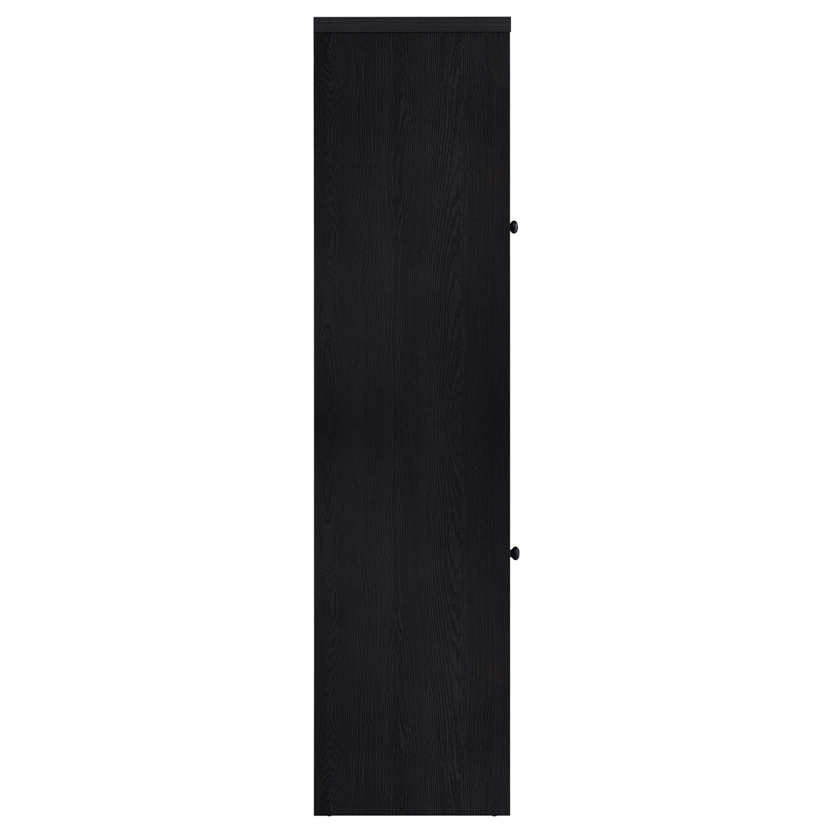 Denison 67-inch 2-door Media Tower Storage Cabinet Black