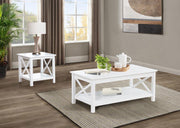 Skyview Rectangular Lift Top Coffee Table Set 2-piece