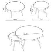 Kaelyn Round Mirror Top Nesting Coffee Table