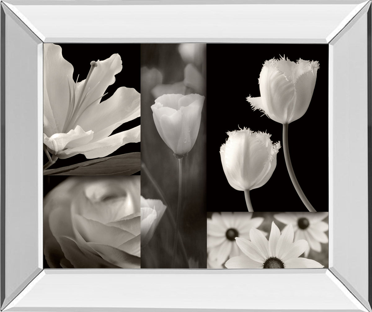 Summer Garden Il By Dennis Frates - Mirror Framed Print Wall Art - Dark Gray