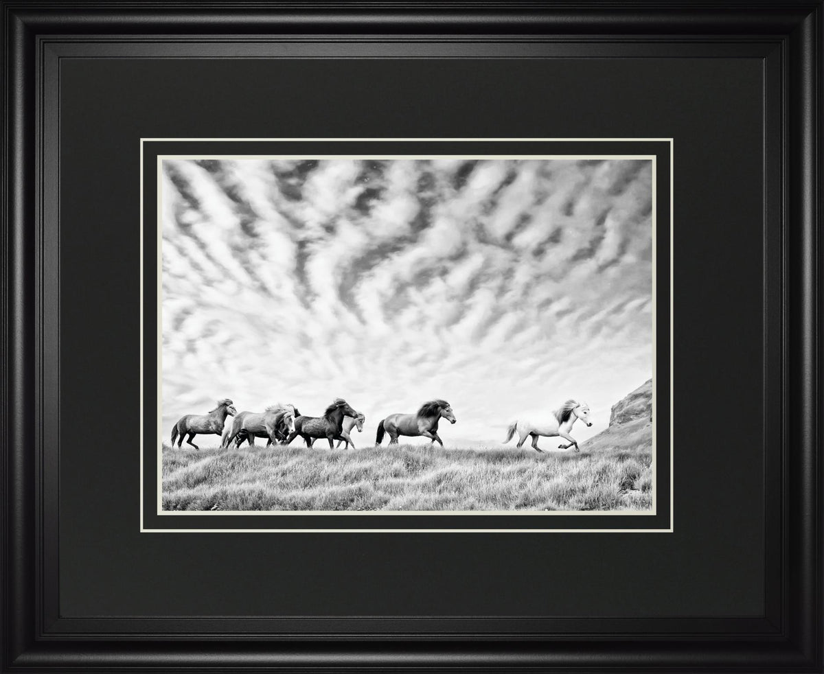 Horse Run III By PHBurchett - Silver