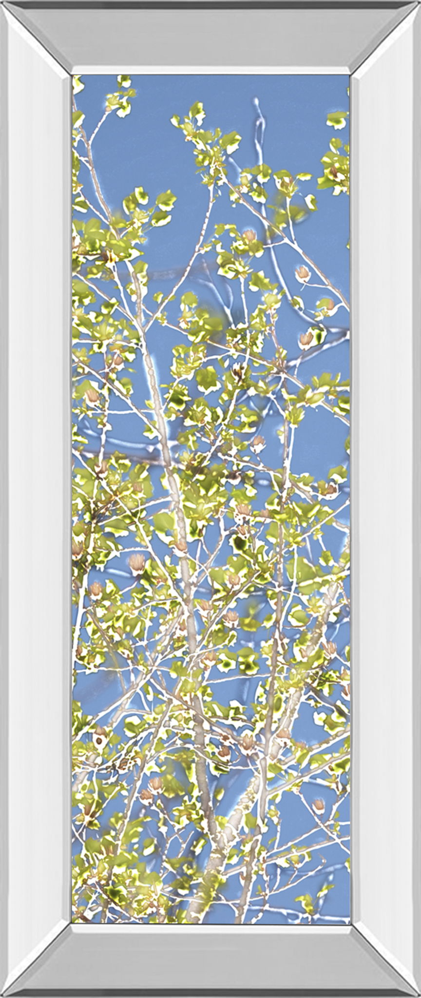 Spring Poplars Il By Sharon Chandler - Mirror Framed Print Wall Art - Light Blue