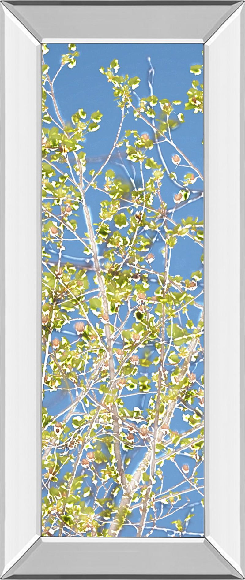 Spring Poplars Il By Sharon Chandler - Mirror Framed Print Wall Art - Light Blue