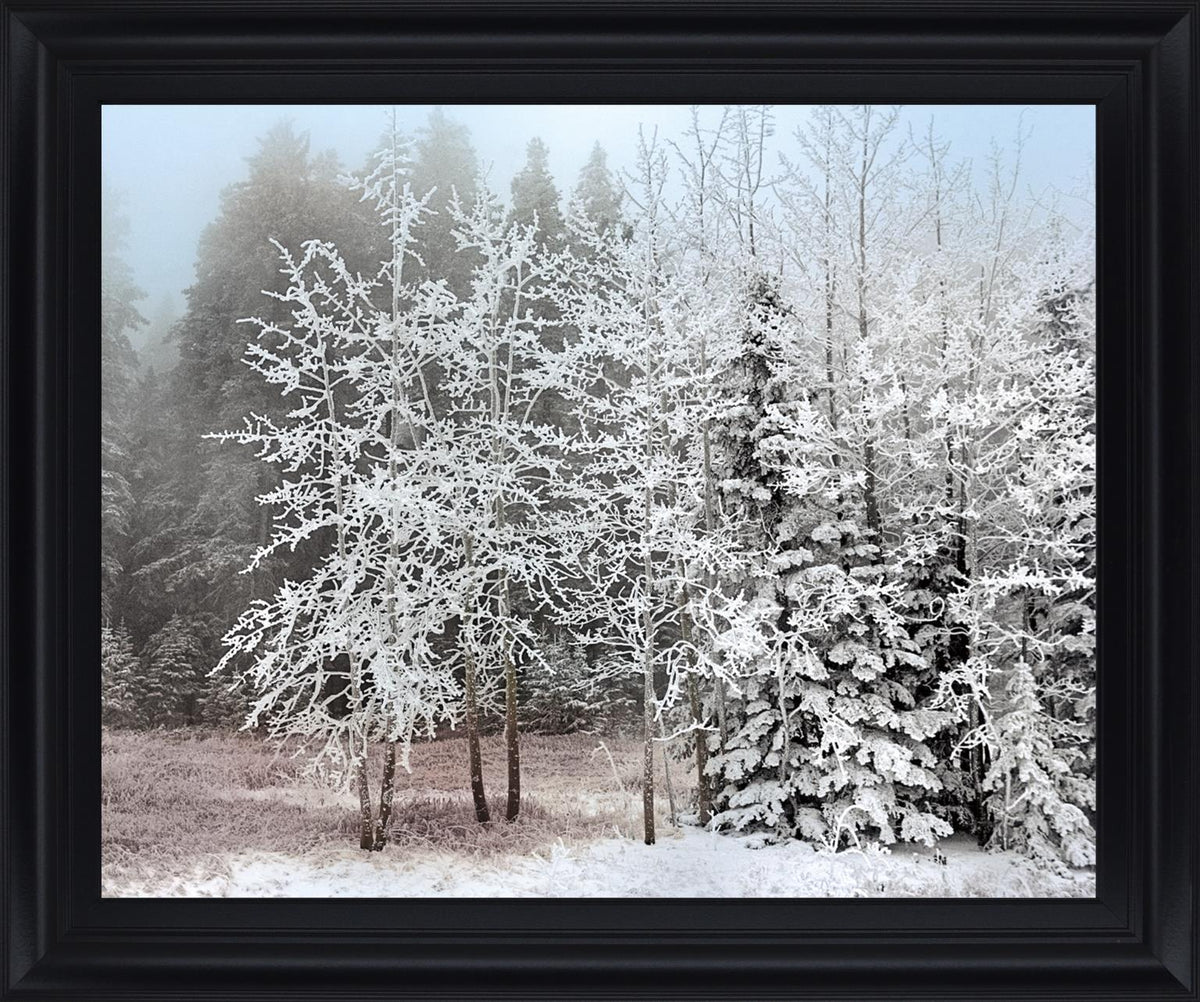 Silent Frosted Grove - 28" x 34" Framed Wall Art - Dark Gray