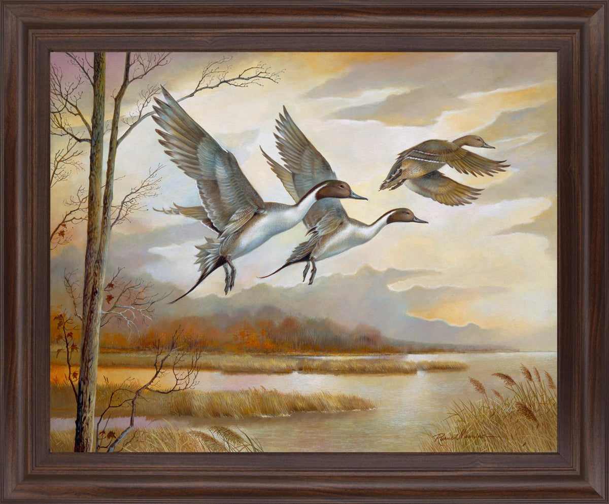 Soaring Pintails - 28" x 34" Framed Wall Art - Beige