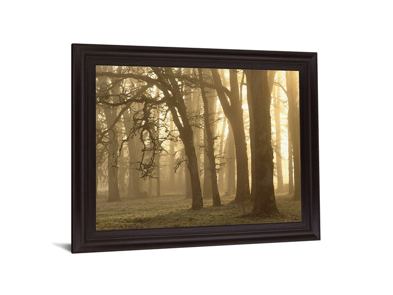 Misty Golden Grove - 28" x 34" Framed Wall Art - Light Brown