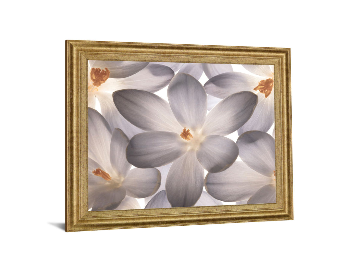 Whispering Blossom - 28" x 34" Framed Wall Art - Gray
