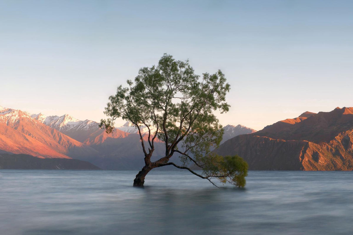 Solitary Dawn Reflection - 40" x 60" Framed Wall Art - Blue