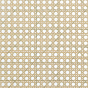 Rayo Rattan Cane Back Accent Chair with Padded Seat