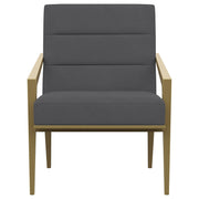 Kirra Upholstered Metal Arm Accent Chair