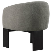 Valdez Boucle Upholstered Back Accent Chair