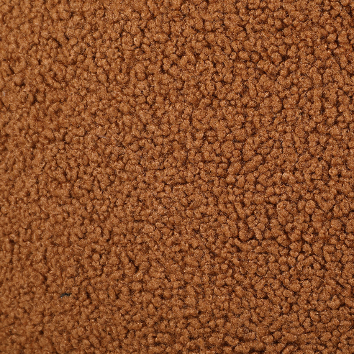 Zonie Boucle Upholstered Back Accent Chair