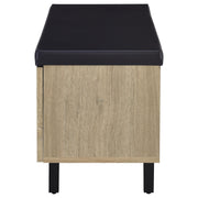 Brixton 2-door Padded Entryway Shoe Storage Bench