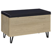 Brixton 2-door Padded Entryway Shoe Storage Bench