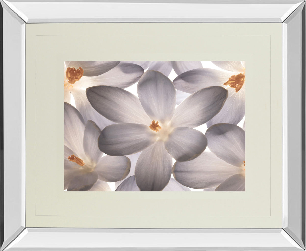 Petal Perfect By Assaf Frank - Mirror Framed Print Wall Art - Beige