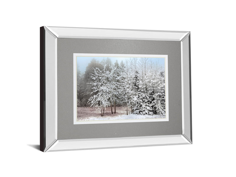 Frosty Morning By Mike Jone - Mirror Framed Print Wall Art - Gray