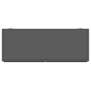 Dalia 2-door Accent Storage Cabinet with Shelving Black