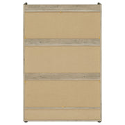 Denia 3-tier Engineered Wood Shoe Cabinet