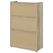 Denia 3-tier Engineered Wood Shoe Cabinet
