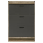 Denia 3-tier Engineered Wood Shoe Cabinet