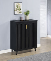 Brixton 2-door Entryway Shoe Storage Cabinets