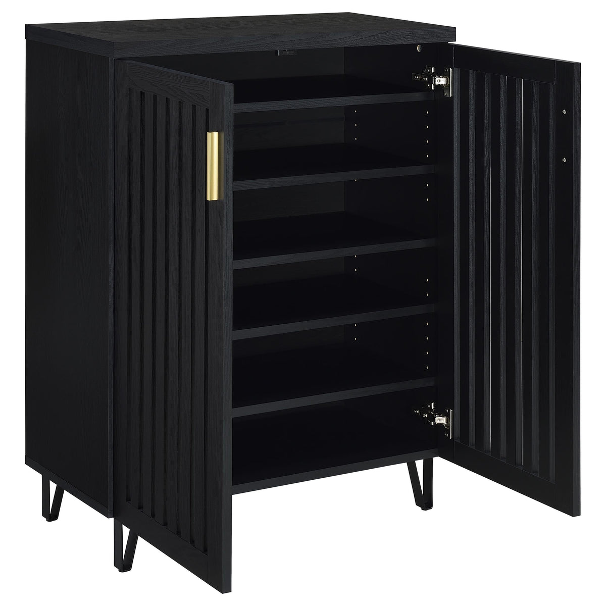 Brixton 2-door Entryway Shoe Storage Cabinets