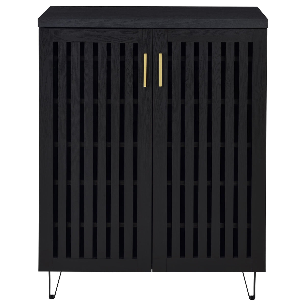 Brixton 2-door Entryway Shoe Storage Cabinets