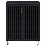 Brixton 2-door Entryway Shoe Storage Cabinets