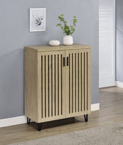 Brixton 2-door Entryway Shoe Storage Cabinets