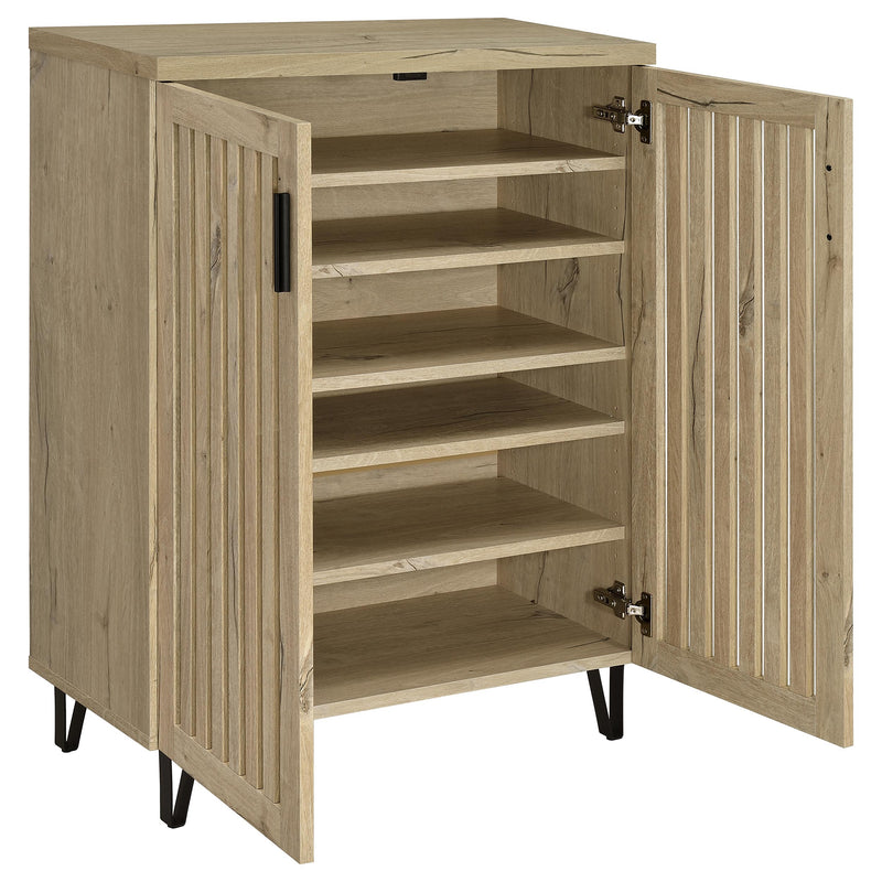 Brixton 2-door Entryway Shoe Storage Cabinets