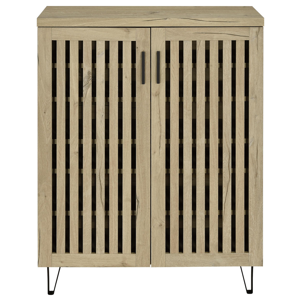 Brixton 2-door Entryway Shoe Storage Cabinets