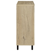 Brixton 2-door Entryway Shoe Storage Cabinets