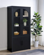 Riva 4-door Tall Accent Display Cabinet LED Lighting Black Default Title