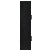 Riva 4-door Tall Accent Display Cabinet LED Lighting Black