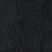 Riva 4-door Tall Accent Display Cabinet LED Lighting Black